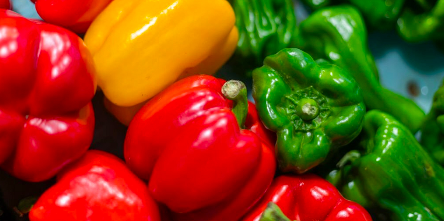 Bell Peppers: Facts, Nutrition, Benefits, & More - Health Normal