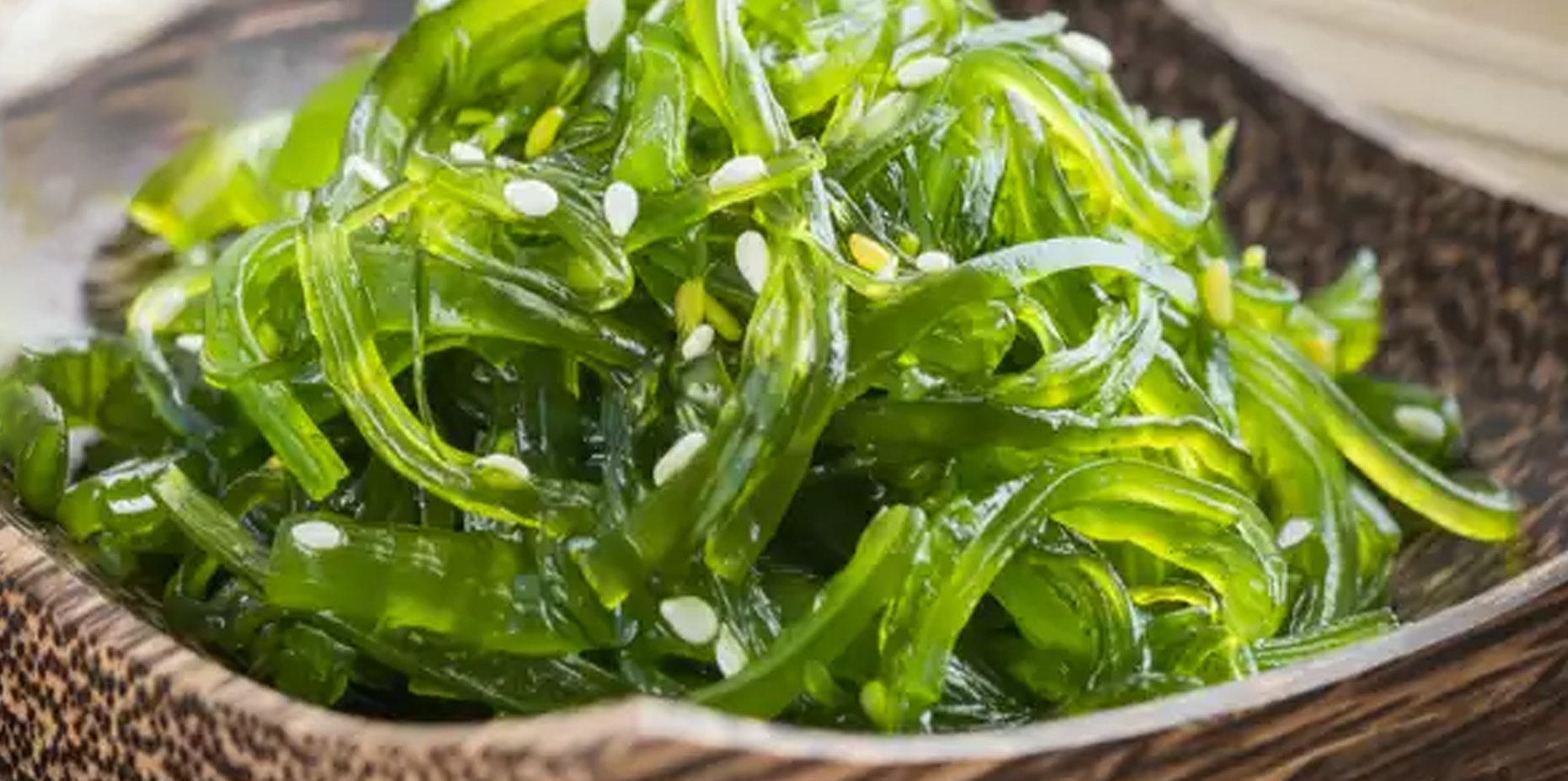 Seaweed